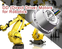 MotionKing Direct Drive Motors (DD motors)